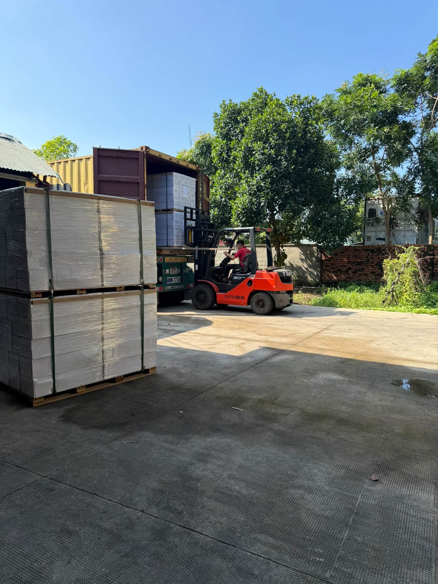 Xe nâng bốc kiện sàn gỗ sồi ngoài sân
