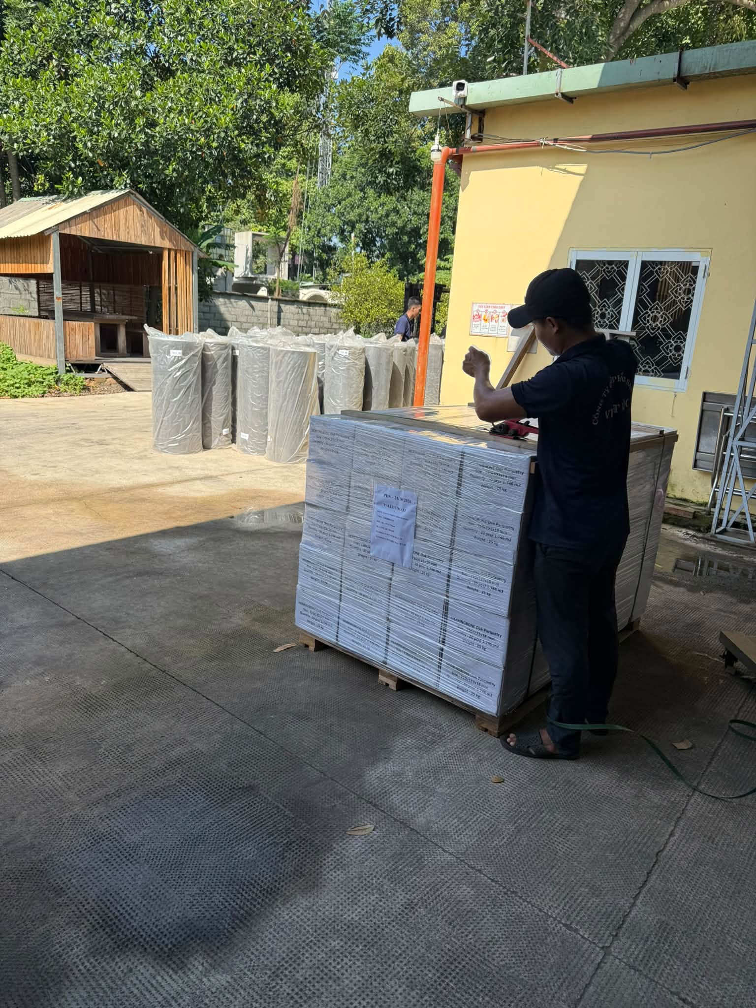 Công nhân chằng đai kiện sàn gỗ sồi trước khi lên cont