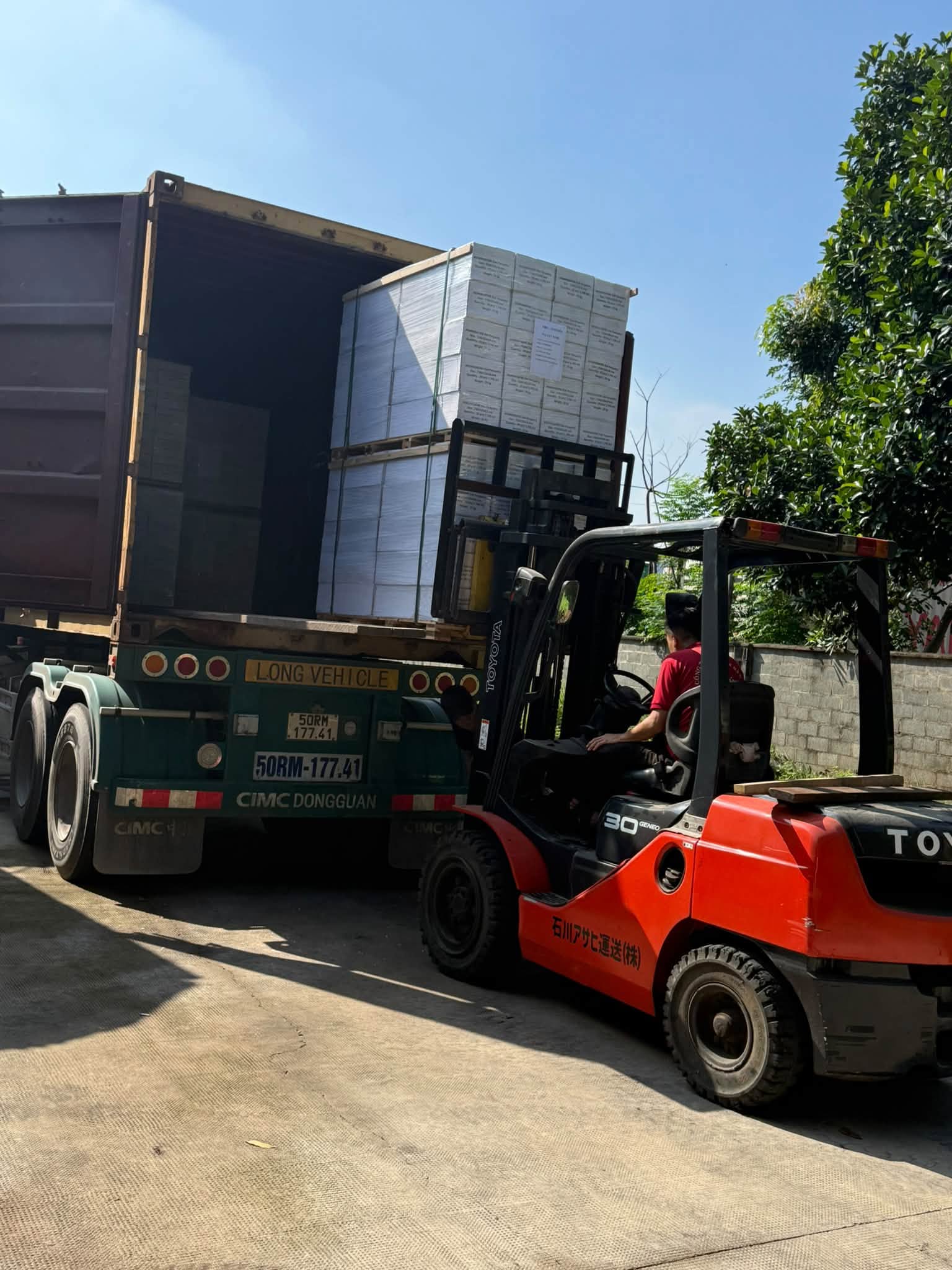 Xe nâng bốc kiện sàn gỗ sồi tự nhiên lên container